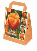 Shades Of Colour Orange Tulip Shade Mix image
