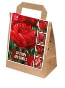Shades Of Colour Red Tulip Shade Mix image