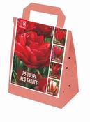 Shades Of Colour Red Tulip Shade Mix image