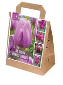 Shades Of Colour Violet Tulip Shade Mix