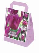 Shades Of Colour Violet Tulip Shade Mix image