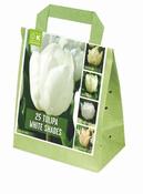 Shades Of Colour White Tulip Shade Mix image