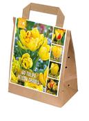 Shades Of Colour Yellow Tulip Shade Mix image