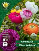 Snowdrop Galanthus Nivalis 10 Bulbs