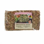 Sphagnum Moss Large