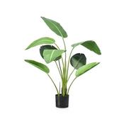 Strelitzia Pot 120cm image