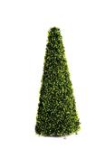 Topiary Obelisk 60cm image