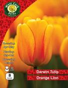Tulip Darwin Hybrid 'Orange Lion' 8 Bulbs Prepack