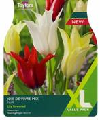 Tulip Joie De Vivre Mix 11-12 Xl image