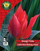 Tulip 'Little Red Riding Hood' 25 Bulbs 10/11