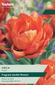 Tulip Orca image
