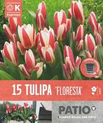 Tulipa Floresta Patio Collection image
