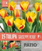 Tulipa Giuseppe Verdi Patio image