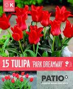 Tulipa Park Dreamway image