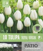 Tulipa Royal Virgin Patio Collection image