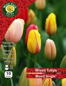 Tulips Single Mixed 10 Bulbs image