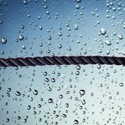POLYPROPYLENE 3-STRAND ROPE (PER MTR) image