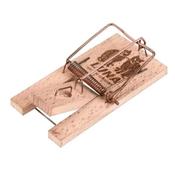 Luna Wooden Mouse Trap image