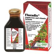 Salus Haus Floradix Liquid Iron Formula 250Ml image