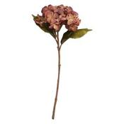 Hydrangea Red Flower