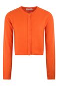 Rox AW26 Orange