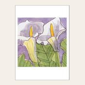 LILIES — HEAD IN THE CLOUDS  image