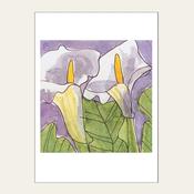 LILIES — HEAD IN THE CLOUDS  image