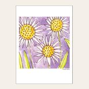 DAISIES — HEAD IN THE CLOUDS  image