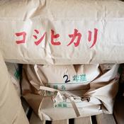 lecomte様専用 京都丹波産コシヒカリ30kg