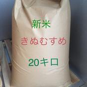 新米 きぬむすめ image