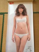 山本梓 等身大ポスター エンタメ 下着姿 image