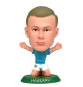 HAALAND