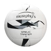 Murphy's Training Ball image
