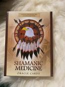 Shamanic Medicine Oracle Cards image
