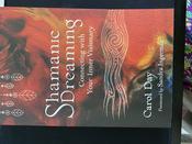 Shamanic Dreaming Book