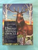 The Druid Animal Oracle
