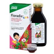 Floradix Kids Liquid Iron Formula 250Ml image