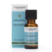 Tisserand Eucalyptus Oil - Organic (20Ml)