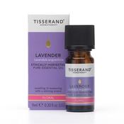 Tisserand Lavender Oil - Ethically Harvested (9Ml) image