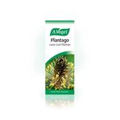A Vogal Plantago Drops 50Ml