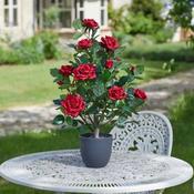 Smart Garden 60cm Artificial Regent's Rose Tree - Ruby Red image