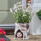 Smart Garden Hog Log Planter | 5071039 image