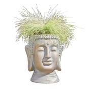 Smart Garden Buddha Planter | 5071053 image