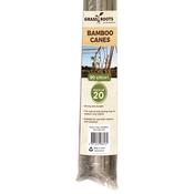 Grass Roots 90cm Pre-Packed Natural Bamboo Canes | GRT968161 image