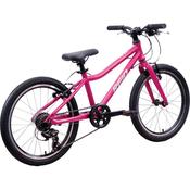 Reid Viper 20 inch kids bike image