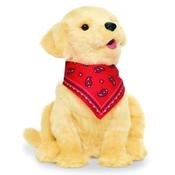 Companion Pet Golden Pup image
