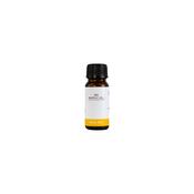 Marble Hill Nail Oil image