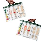 Pain Assessment Chart
