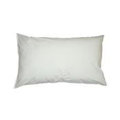 Wipe Clean Pillow image