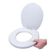 Padded Toilet Seat With Lid image